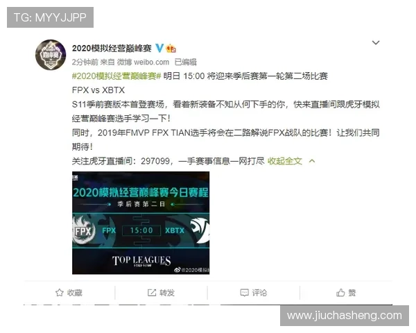 揭秘ag视讯大神的操作套路,轻松掌握赢的技巧不再难